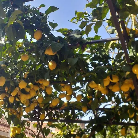 Casa Ester Апартаменты *